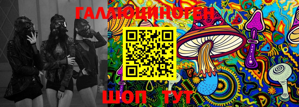 Галлюциногенные грибы Psilocybine cubensis  Вход с VPN  Таганрог 